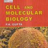 CELL AND MOLECULAR BIOLOGY | P. K. GUPTA | Rastogi