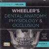 WHEELERS DENTAL ANATOMY PHYSIOLOGY AND OCCLUSION | STANLEY J. NELSON | Elsevier
