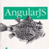 ANGULAR JS | BRAD GREEN , SHYAM SESBADRI | Shroff Publishers and Distributors (SPD)