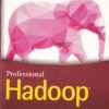 PROFESSIONAL HADOOP | BENOY ANTONY, KONSTANTIN BOUDNIK, CHERYL ADAMS, BRANKY SHAO, CAZEN LEE, KAI SASAKI | Wiley