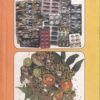 आधुनिक चिकित्सा आणि वनौषधी | ईश्वरभाई अग्रवाल | मनपसंत प्रकाशन (Manpasant Prakashan)