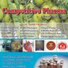 COMPETITIVE PHARMA | PROF. MRS. AMBIKA U. SANGULE, MR. MITESH B. SURYAWANSHI, DR. RAJESH R. WAKE, PROF, KETAN C. SHINDE | RADICAL