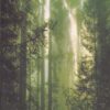 OUR ENVIRONMENT | NATIONAL BOOK TRUST
