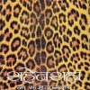 शहेनशहा | कॉन्टिनेन्टल प्रकाशन (Continental Prakashan)