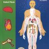 SECOND HAND BOOK | HUMAN ANATOMY AND PHYSIOLOGY | CAREER