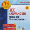 JEE (ADVANCED) (WITH FREE DAILY PRACTICE PROBLEMS) WAVES AND THERMODYNAMICS | B.M. SHARMA | Cengage