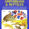 MY ALBUM OF AMPHIBIANS ANDREPTILES | Navneet Education Limited