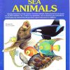 MY ALBUM OF SEA ANIMALS | Navneet Education Limited