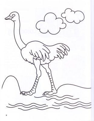 MY BIG COLOURING BOOK – I | Navneet Education Limited | Pragationline.com