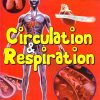 Human Body Facts: Circulation & Respiration | OM KIDZ