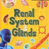 Human Body Facts: Renal system & Glands | OM KIDZ
