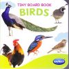 TINY BOARD BOOK BIRDS | Navneet Education Limited