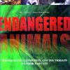 Endangered Animals - Species Facing Extinction & The Threats To Their Habitats | Parragon Publishing