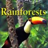 100 Facts Rainforests | Miles Kelly Publishing
