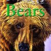 100 Facts Bears | Miles Kelly Publishing