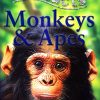 100 Facts Monkeys & Apes | Miles Kelly Publishing