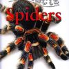 100 Facts Spiders | Miles Kelly Publishing