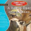 Funny Photo Phonics A Bee, a Deer and a Sheep | Shree Book Centre