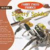 Funny Photo Phonics Spotty Spider | Shree Book Centre
