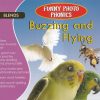 Funny Photo Phonics Buzzing and Flying | Shree Book Centre