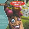Funny Photo Phonics The Plum Tree | Shree Book Centre
