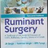 RUMINANT SURGERY