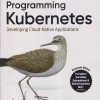 OREILLY PROGRAMMING KUBERNETES | MICHAEL HAUSENBLAS, STEFAN SCHIMANSKI | Shroff Publishers And Distributors (SPD)