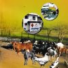 पशु उपचार शास्त्र (Veterinary Medicine) | डॉ. ना.पु. दक्षिणकर | श्री मंगेश प्रकाशन (Shree Mangesh Prakashan)