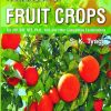 HANDBOOK OF FRUIT CROPS | S. K. TYAGI | Jain Brothers