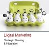 DIGITAL MARKETING (Strategic Planning & Integration) | ANNMARIE HANLON | Sage