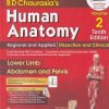 BD CHAURASIAs HUMAN ANATOMY (Lower Limb, Abdomen And Pelvis) Vol. 2 | BD CHAURASIA | CBS
