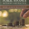 PUBLIC FINANCE IN THEORY AND PRACTICE | RICHARD A MUSGRAVE | MEDTECH PRESS