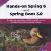 HANDS ON SPRING 6 and SPRING BOOT 3.0 | SAGARA GUNATHUNGA | BPB