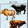 गाई म्हशींचे आजार व उपचार | डॉ प्र अ देवरे | कॉन्टिनेन्टल प्रकाशन