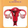 स्त्रीरोग विज्ञान - आयुर्वेद | अद्वैत प्रकाशन (Advait Prakashan)