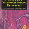A TEXTBOOK OF VETERINARY SPECIAL PATHOLOGY | J L VEGAD
