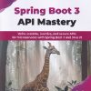 SPRING BOOT 3 API MASTERY | VINCENZO RACCA