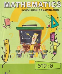 PAST QUESTION PAPERS MATHEMATICS SCHOLARSHIP EXAMINATION STD 6 | IPM