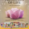 TREASURES OF LIFE (VALUE EDUCATION) STD 6 | SHANTASHREE SHETTY | JEEVANDEEP