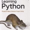 SECOND HAND BOOK | LEARNING PYTHON POWERFUL OBJECT-ORIENTED PROGRAMMING | MARK LUTZ | OREILLY
