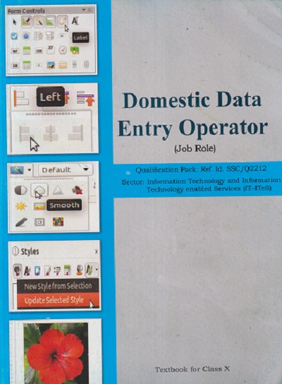 DOMESTIC DATA ENTRY OPERATOR (JOB ROLE) Textbook For Class 10th | NCERT
